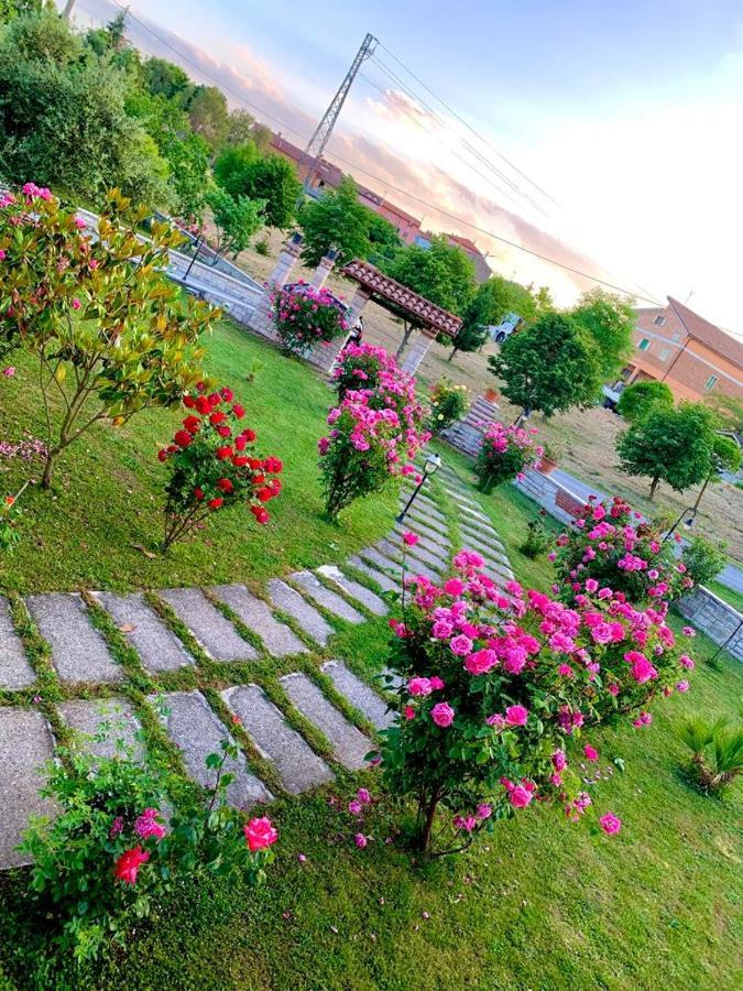 B&B Da Mary Matrice Εξωτερικό φωτογραφία